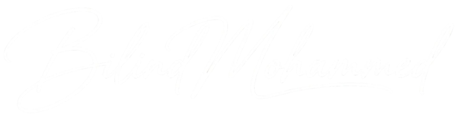 Webdesign by Bilind Mohammed